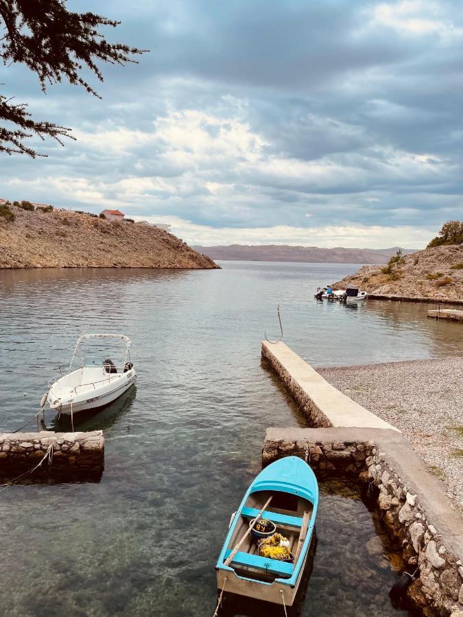 Holiday Home Cesarica カルロバッグ エクステリア 写真